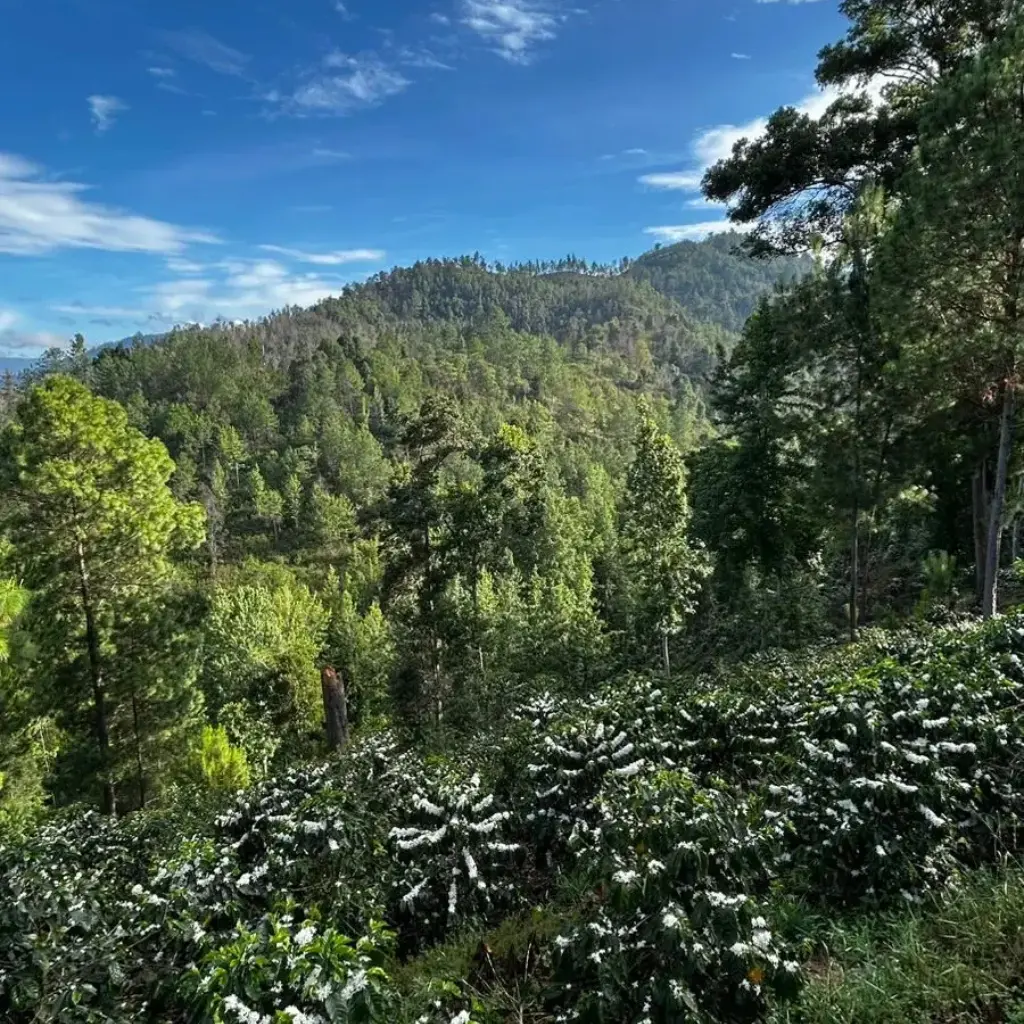 Produktbild 3